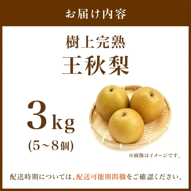 【先行予約】樹上完熟 王秋梨 3kg（5～8個）（2026年12月上旬～発送） 王秋梨 梨 京丹後 なし 秋