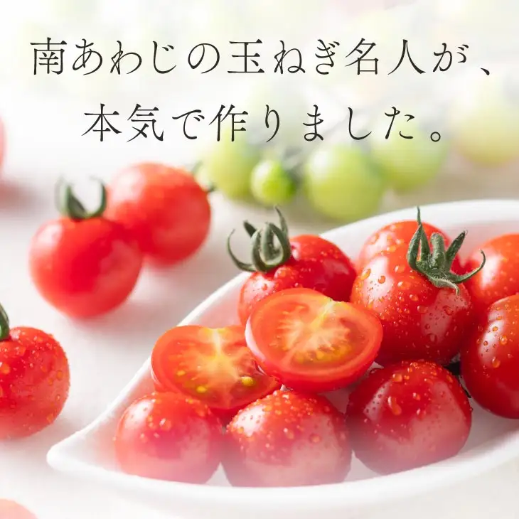 ケンちゃんファームの高糖度ミニトマト「トマトマトマト」900g