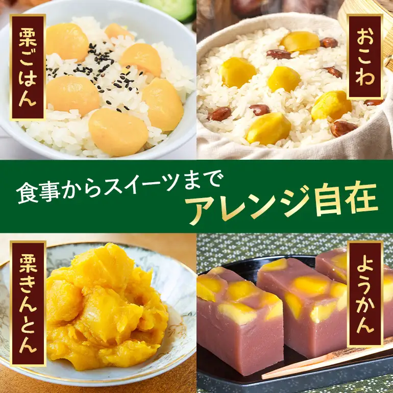 笠間の栗 かねこ農園のむき栗（300g×2パック） JO-021