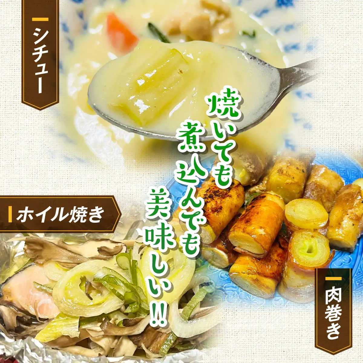 【先行予約】群馬県産 上州ネギ 泥付き6㎏ ANBQ001