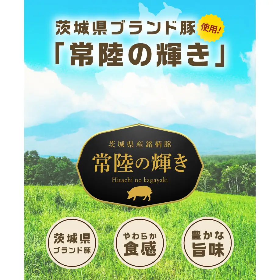 常陸の輝き アイスバイン 700g 豚肉 骨付きハム 惣菜 お取り寄せ グルメ 人気 冷凍 ドイツ料理 おかず ご当地グルメ ディナー ごちそう パーティー【茨城県共通返礼品/つくば市】（106-01）