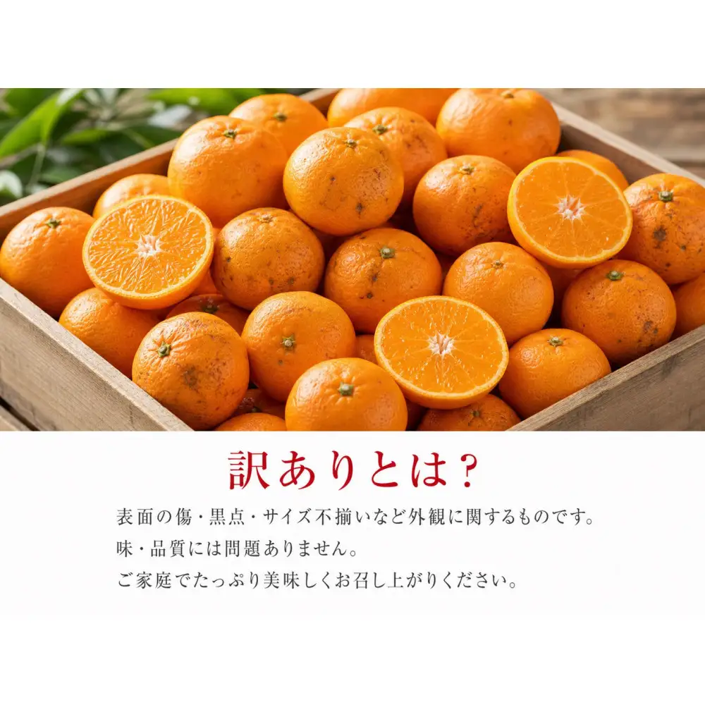 ［ご家庭用訳あり］有田みかん10kg 2S〜2Lサイズ混合