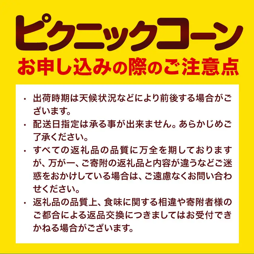 極甘 ピクニックコーン とうもろこし 11～13本 北海道 名寄