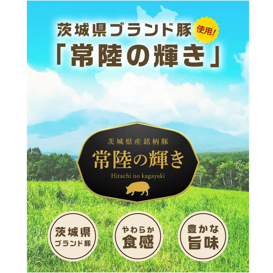 常陸の輝きDLG コンテスト 受賞 商品 詰め合わせ【贈答用(熨斗対応可)】豚肉 お取り寄せ グルメ 人気 冷蔵 詰め合わせ ギフト おかず ご当地グルメ ディナー 食べ比べ パーティー【茨城県共通返礼品/つくば市】（106-10）