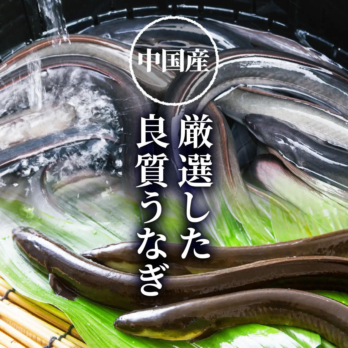 大容量1kg！特大うなぎ蒲焼200g×5尾