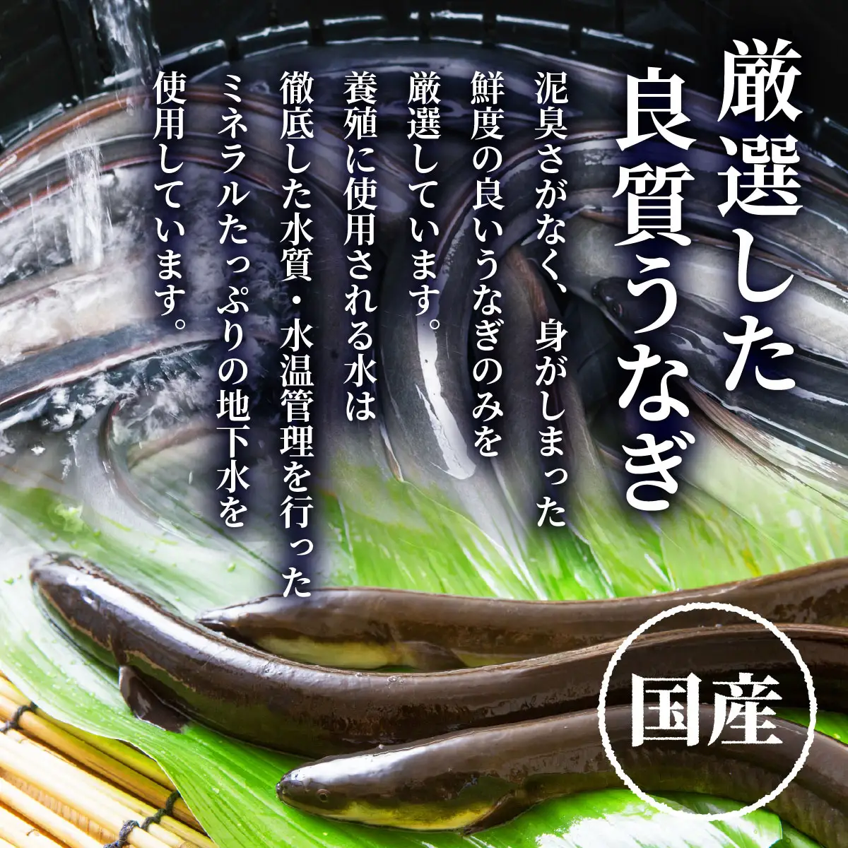 【国産うなぎ蒲焼】200g×2尾（合計400g）