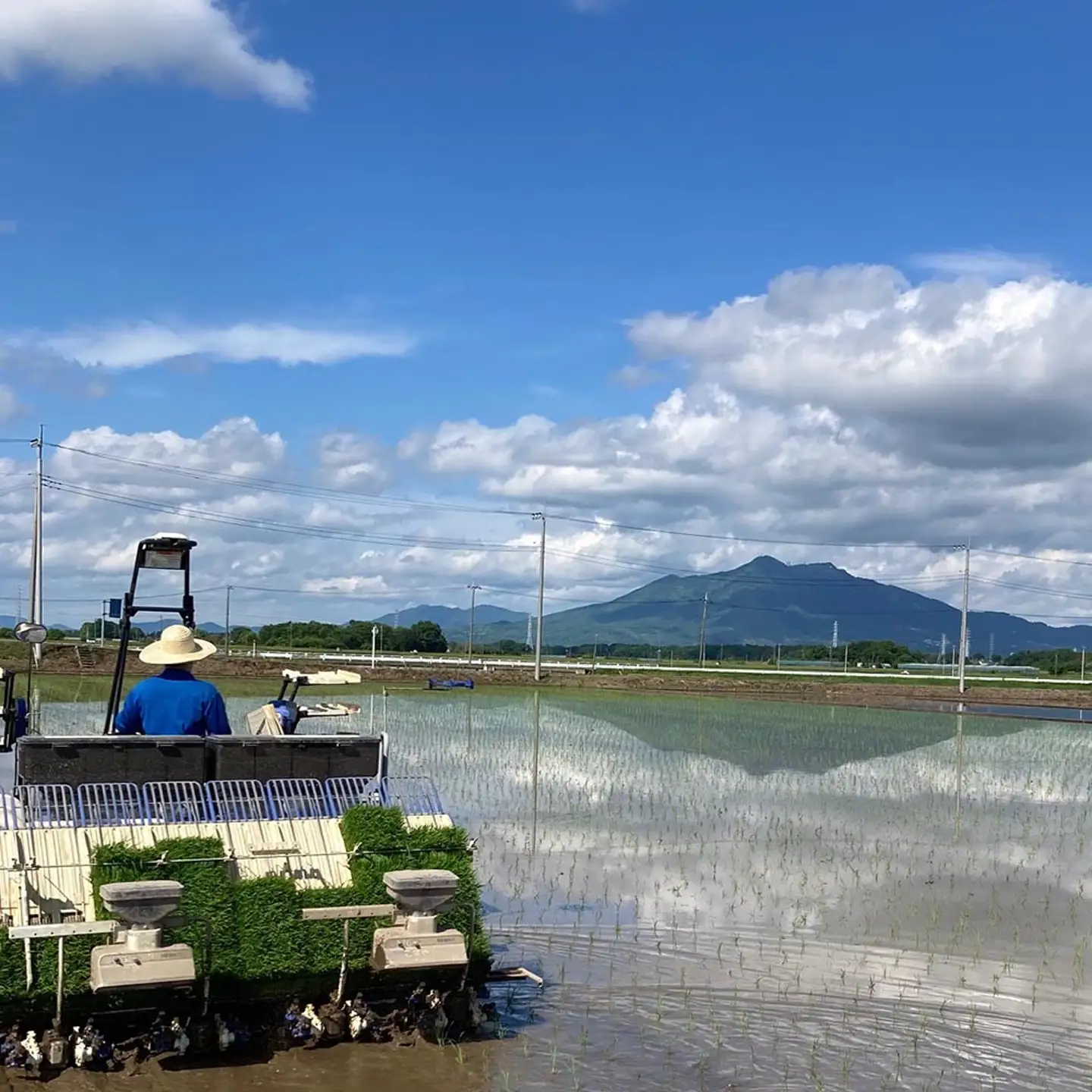 米 精米 R7年産 コシヒカリ 5kg 9月