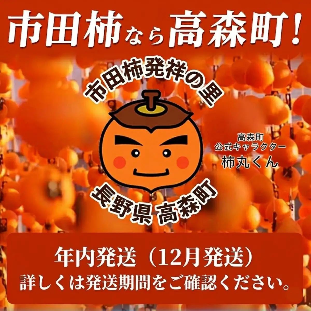 【令和8年発送】南信州高森町産 市田柿 200g×4パック