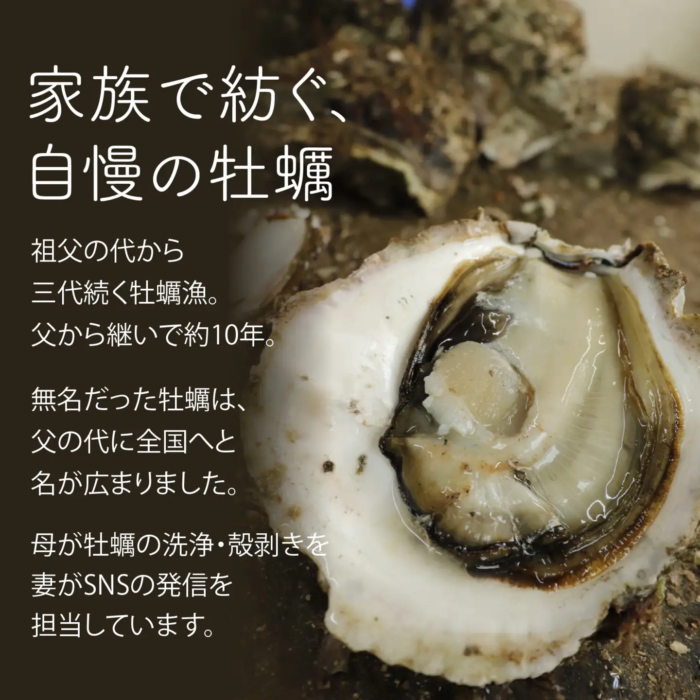 奥能登 河端水産の岩牡蠣 約5kg（殻付き・加熱用）| 岩牡蠣