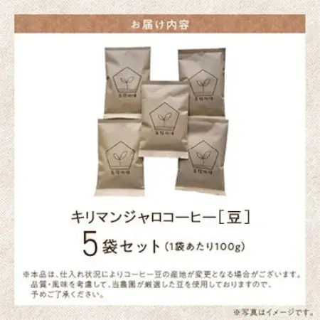 五稜農園自家焙煎 キリマンジャロ コーヒー豆100g×5袋セット 香り豊かな本格珈琲【1747881】