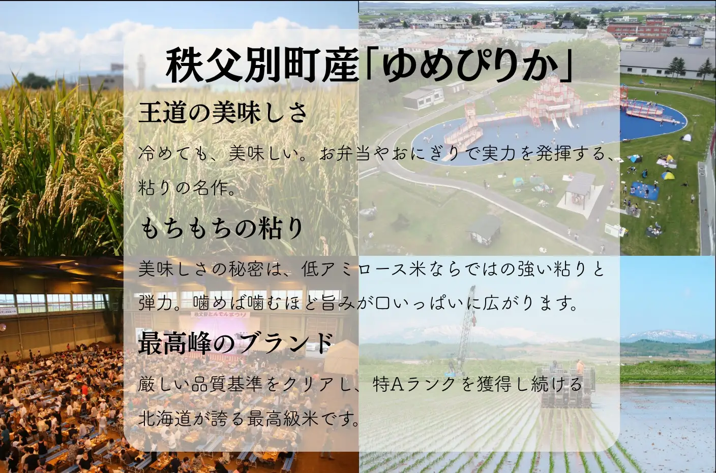 【新米予約受付中】令和8年産ゆめぴりか(10㎏)【R8SC1】