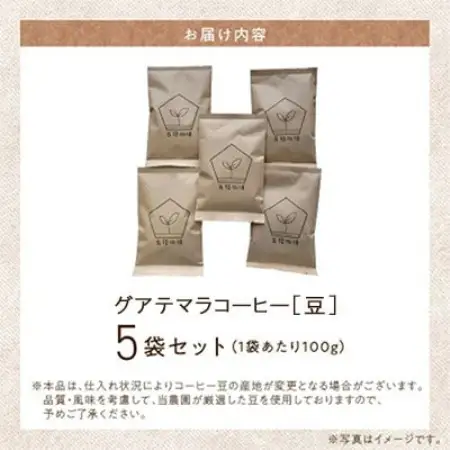五稜農園自家焙煎 グアテマラコーヒー豆100g×5袋セット 香り豊かな本格珈琲【1747886】