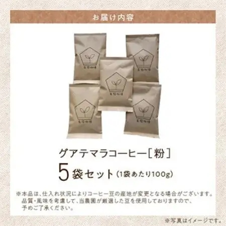 五稜農園自家焙煎 グアテマラコーヒー(粉タイプ)100g×5袋セット 香り豊かな本格珈琲【1747887】