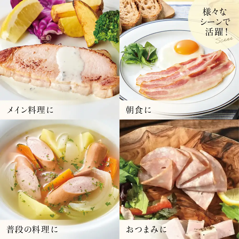 【定期便3回：3ヶ月連続】マイスター山野井 ハム・ソーセージ 5種（計10P）ウインナー ベーコン ハム スライス 肉 豚肉 詰め合わせ 詰合せ セット 小分け 鹿児島 グルメ 冷蔵 定期配送 南さつま市