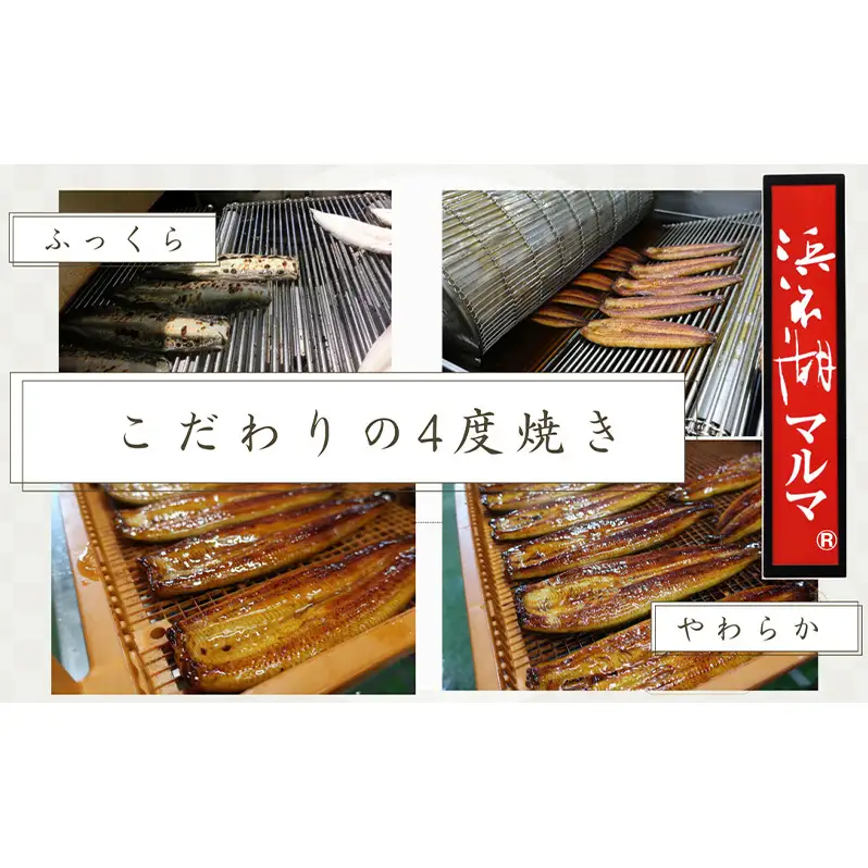 浜名湖マルマ 【定期便・全2回】うなぎ蒲焼(約100g x 2尾) 浜名湖産うなぎ 長蒲焼 国産 ギフト 贈答 土用の丑の日 蒲焼 鰻 うなぎ 真空 個包装 冷凍 浜名湖 グルメ 静岡 浜松市 【配送不可：離島】