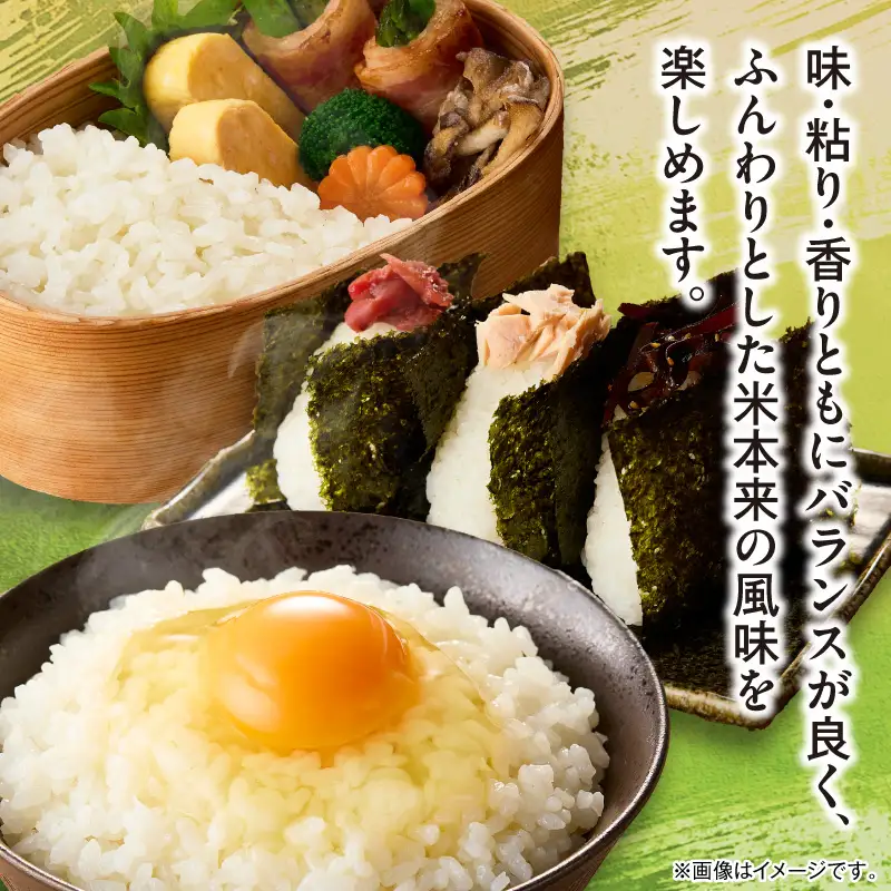 延岡産ヒノヒカリ（白米）5kg N0218-YA982