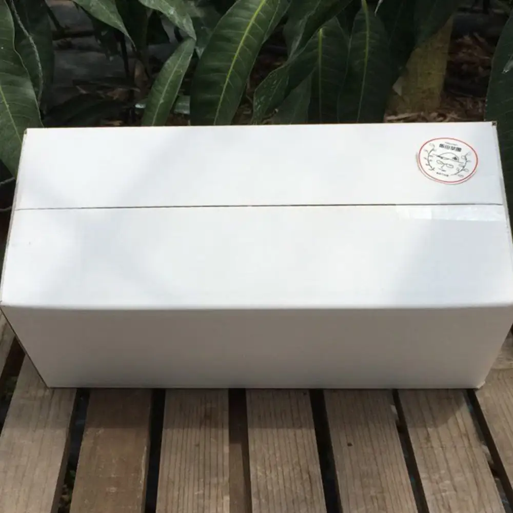 2026年発送【農家直送】飯田菜園 奄美完熟マンゴー 約1kg(2～3玉)ご家庭用