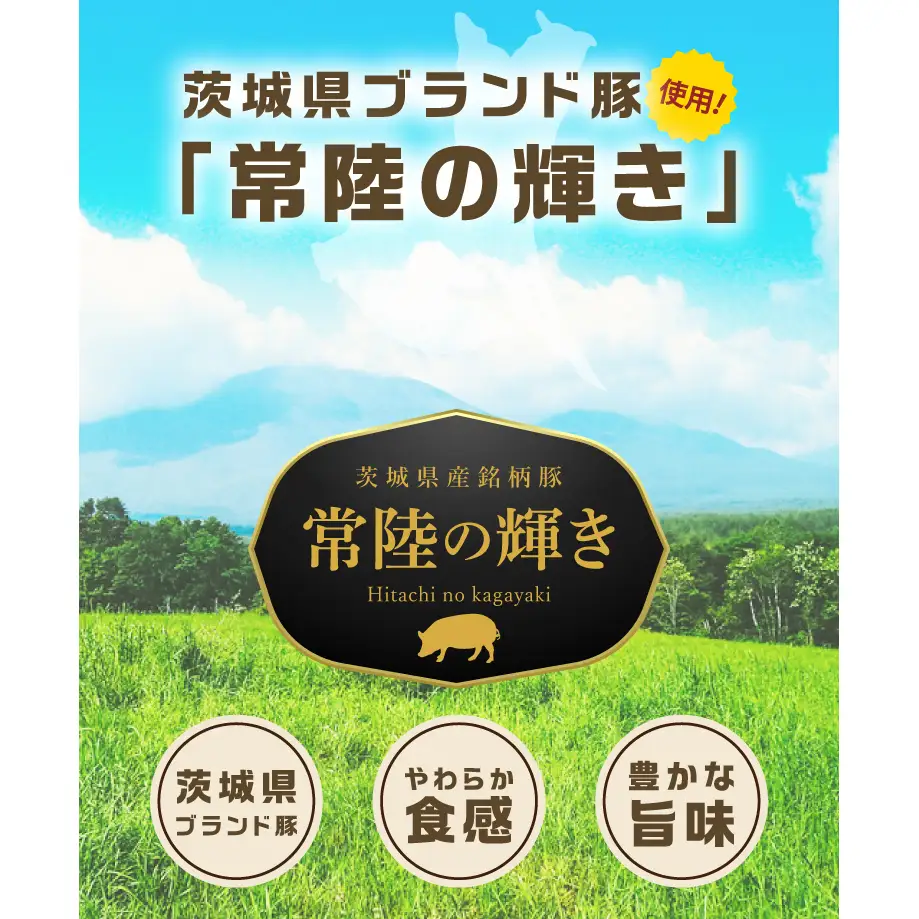 常陸の輝きロースハム 2個 国産 豚肉 熟成 スライス お取り寄せ グルメ 人気 冷蔵 ギフト おかず ご当地グルメ サンドイッチ おつまみ 朝食 贅沢【茨城県共通返礼品/つくば市】（106-17）