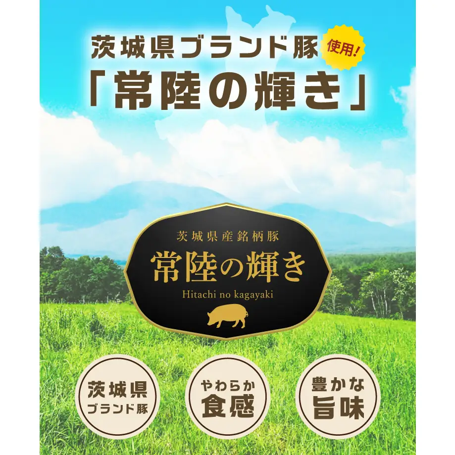 常陸の輝きボンレスハム ハム2個 国産 豚肉 熟成 スライス お取り寄せ グルメ 人気 冷蔵 ギフト おかず ご当地グルメ サンドイッチ おつまみ 朝食 贅沢【茨城県共通返礼品/つくば市】（106-19）