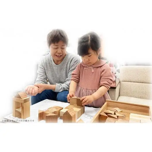 FD007 【キムリエ】サンブスギ積木セット（木製ケース付）