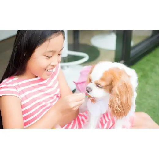 わんちゃんと一緒に！ドッグジェラート&飼い主様用ジェラート 6個