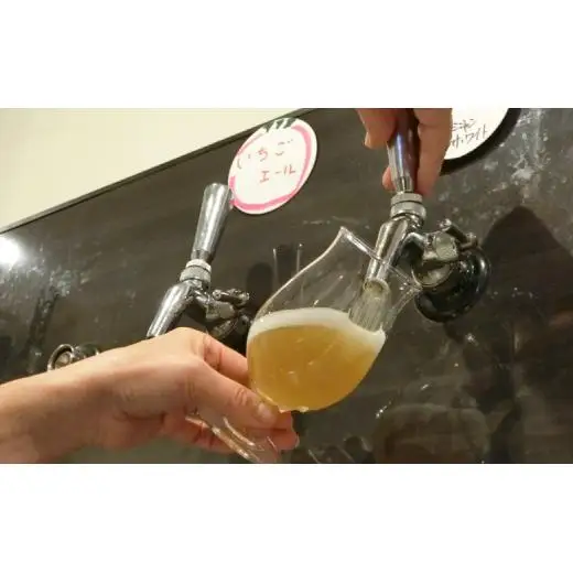 【松戸ビール】旬の地ビール 6本セット