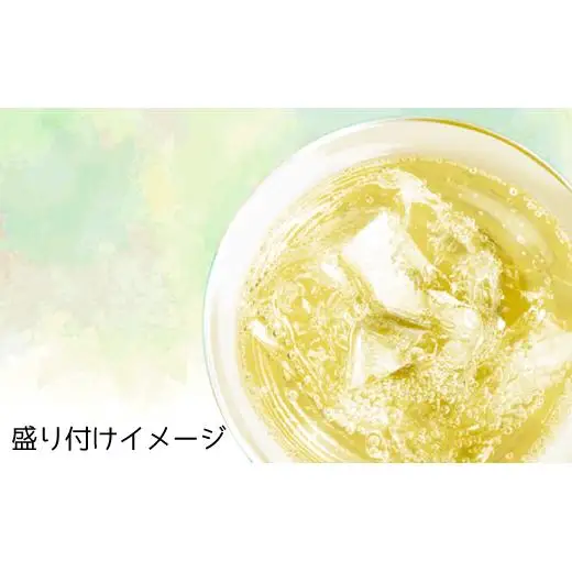 【宝酒造】南房総レモン クラフトチューハイ（12本セット）