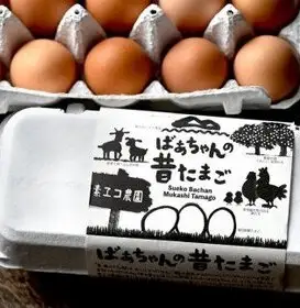 伊万里 お楽しみ福袋 定期便 全3回 牛肉 米 たまご【毎月発送コース】 999-E035