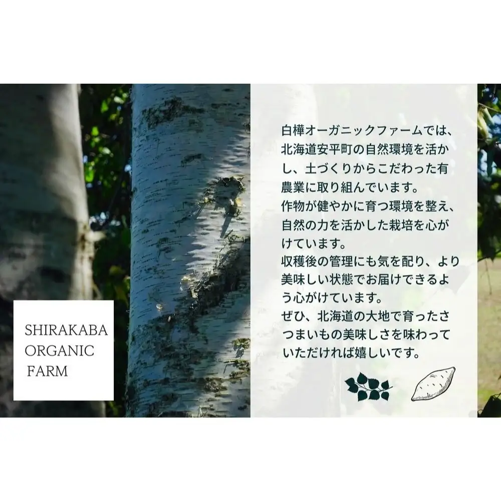 ＜ 先行予約 ＞ オーガニック さつまいも 金時 5kg サツマイモ いも イモ 芋 有機栽培 有機野菜  化学農薬不使用 化学肥料不使用 焼き芋 大学芋 北海道 安平町 安平