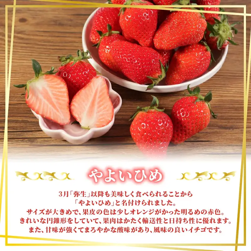 いちご やよいひめ 計2kg 【いちご】