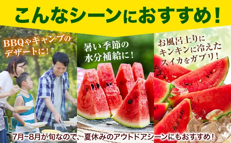 【先行予約】すいか 大玉 1玉 熊本 スイカ