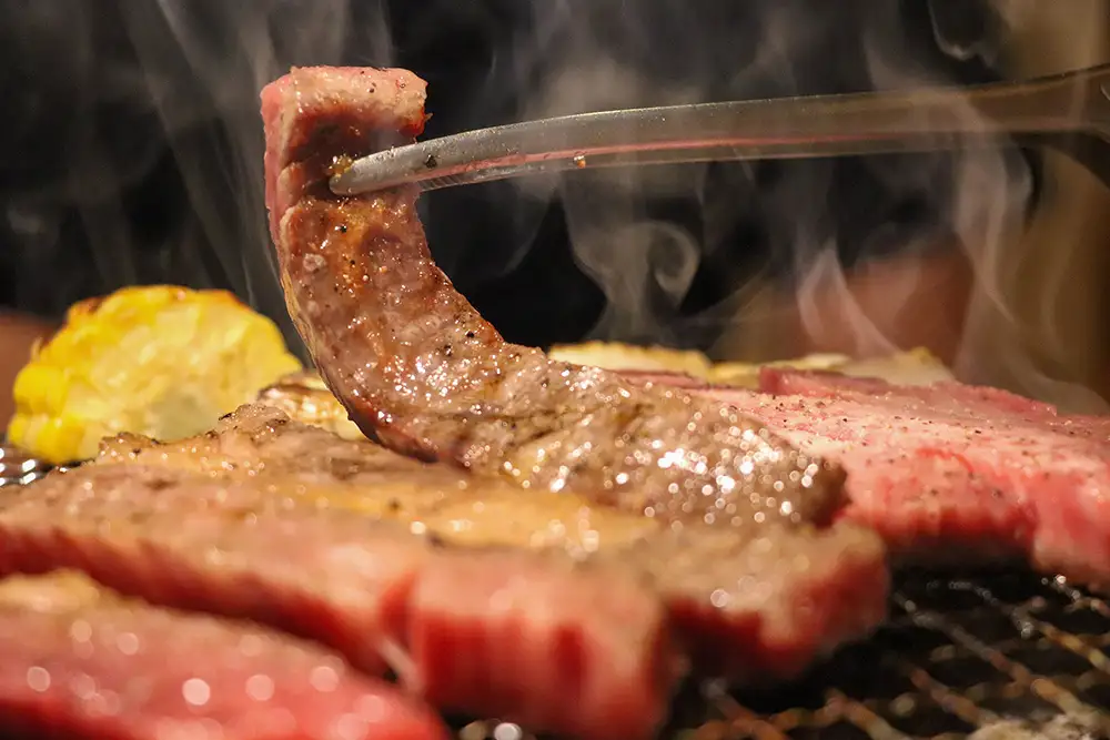 【ひょうたんや】近江牛モモ焼肉カット（500g）【E039W】