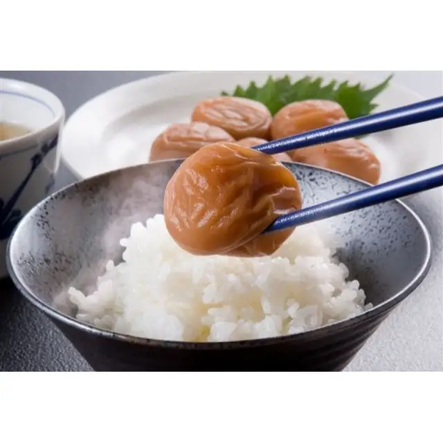 N904 【全3回定期便】梅干し　紀和農園のおススメ紀州梅干し味比べ（しそ漬・はちみつ・うす塩味）