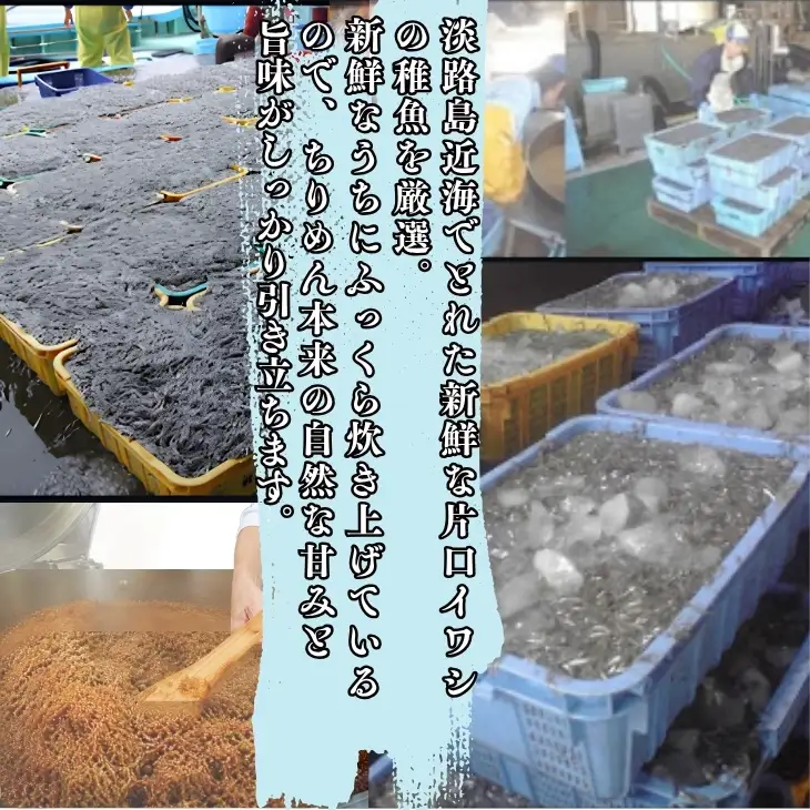 ★生炊き★淡路島産ちりめん山椒　化粧箱入（60g×5袋）