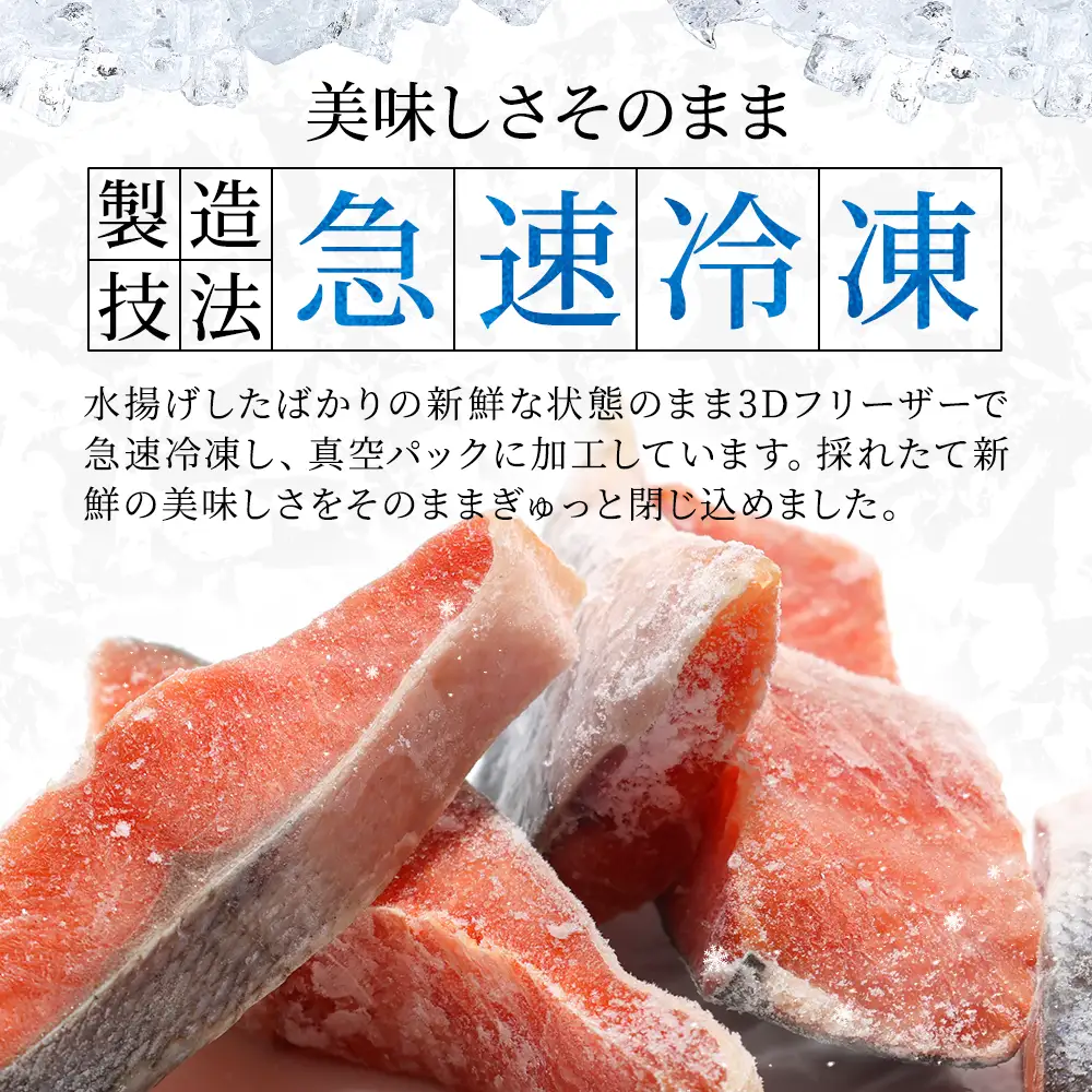 【トキシラズ】活き〆時知らずの鮭 約2kg~2.6kg 時鮭 【AF】