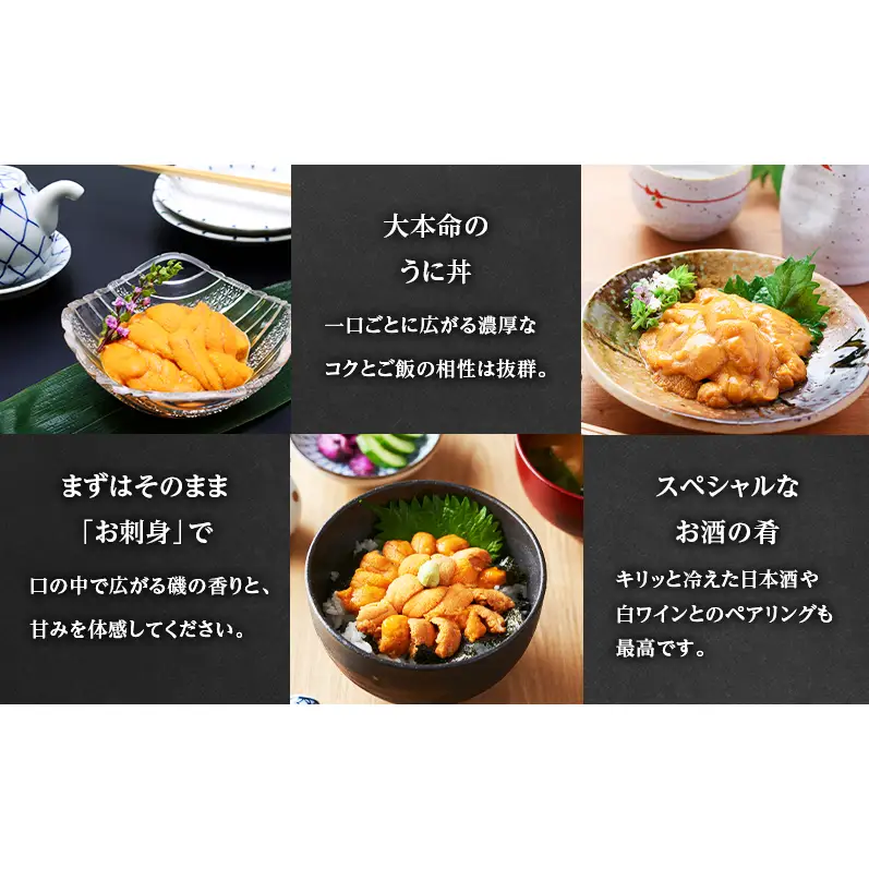 うに エゾバフンウニ 塩水パック ミョウバン不使用 オホーツク枝幸 うに【100g】