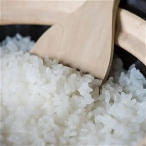 令和8年 北海道深川産 ゆめぴりか 5kg×2袋【1741828】