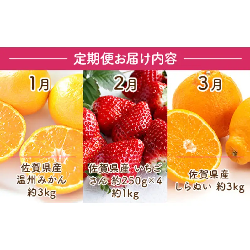 フルーツ 旬の果物 定期便 フルーツ【定期便 3ヶ月】