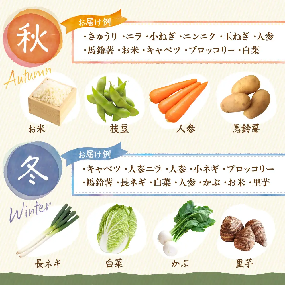 旬のお野菜詰合せセット【道の駅むなかた】_HA2050 野菜 新鮮 旬 サラダ 福岡県宗像市 宗像市 福岡 宗像