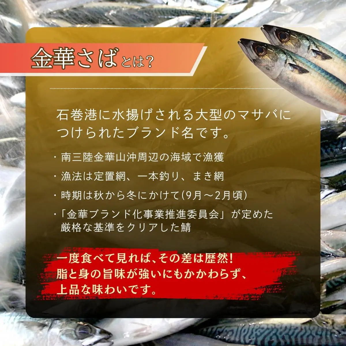 【木の屋】さば缶 缶詰 食べ比べセット 10缶 (2種 各5缶) 水煮 味噌煮 鯖 鯖 サバ 金華さば 金華 国産 常温 おかず おつまみ 長期保存 非常食 保存食 便利 常温保存