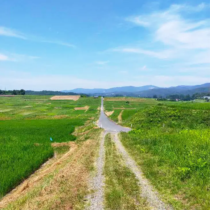 東和棚田のんびりRun（65歳以上シニアの部）出場権（4.6km）1名様分【2424】