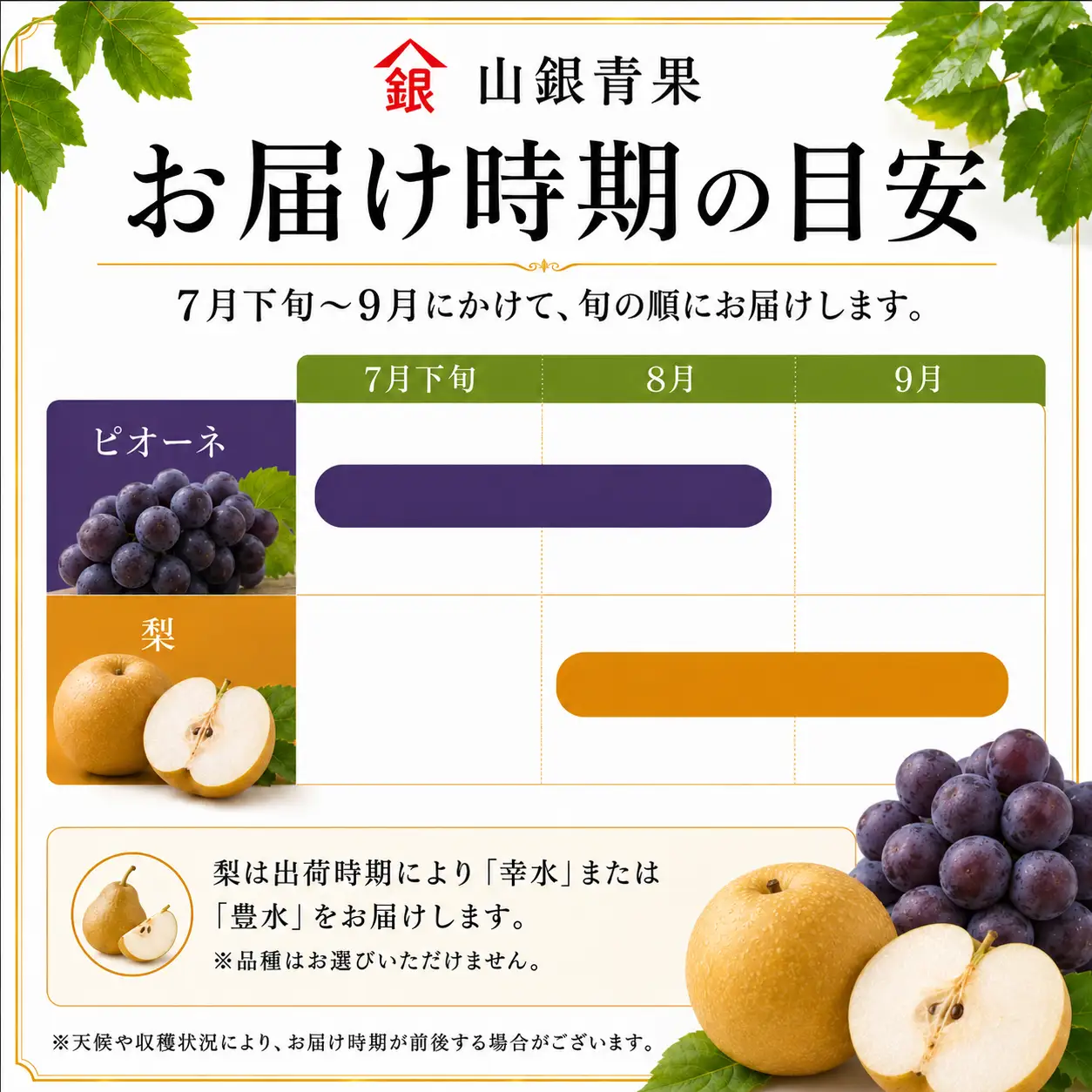 フルーツ 定期便 2回 コースA 果物
