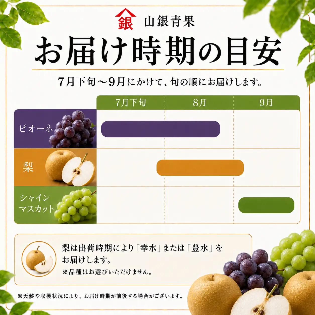 フルーツ 定期便 3回 果物