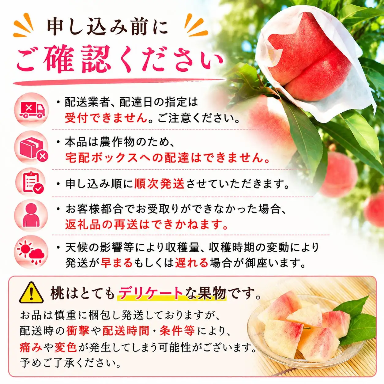 【8月下旬発送】 桃 川中島白桃 特撰 約2.0㎏ 先行予約 桃 fujimura004