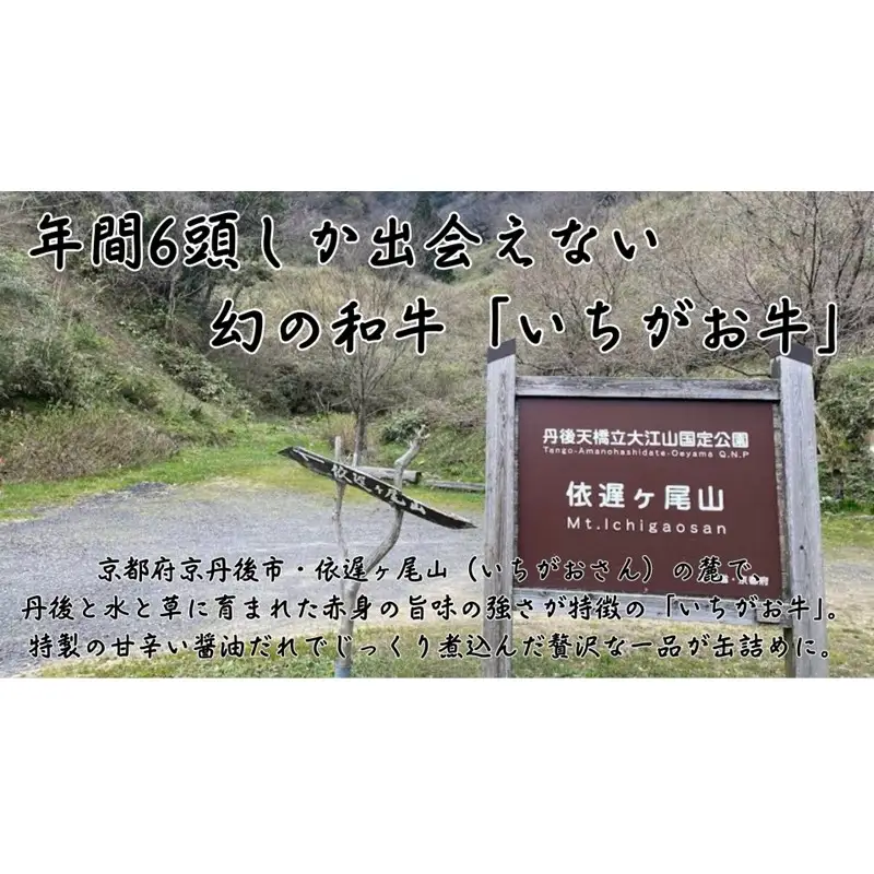 【丹後産】幻のいちがお牛100％　いちがお牛の醤油煮込み缶　3缶　肉 国産 保存 長期保管 おかず おつまみ 缶詰め カンヅメ 常温配送 常温保存 備蓄 日持ち 酒の肴 ごはんのお供 京都