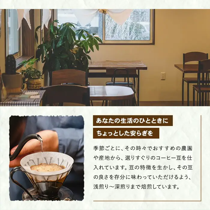 コーヒー 粉 スペシャルティコーヒー 100g × 5種 コーヒー粉【00-131-09】
