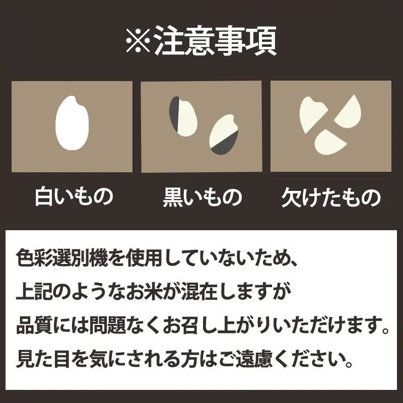 米 精米 松山ふるさと米 令和8年産 20kg 【OCF0081_x】