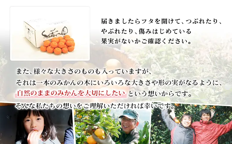 【先行予約】＜無茶々園 温州みかん 約5kg＞ 果物 くだもの ミカン 蜜柑 柑橘 フルーツ うんしゅうみかん 贈り物 ギフト おいしい 期間限定 季節限定 食べて応援 特産品 愛媛県 西予市 【常温】『2026年11月～12月に順次出荷予定』AMC0059