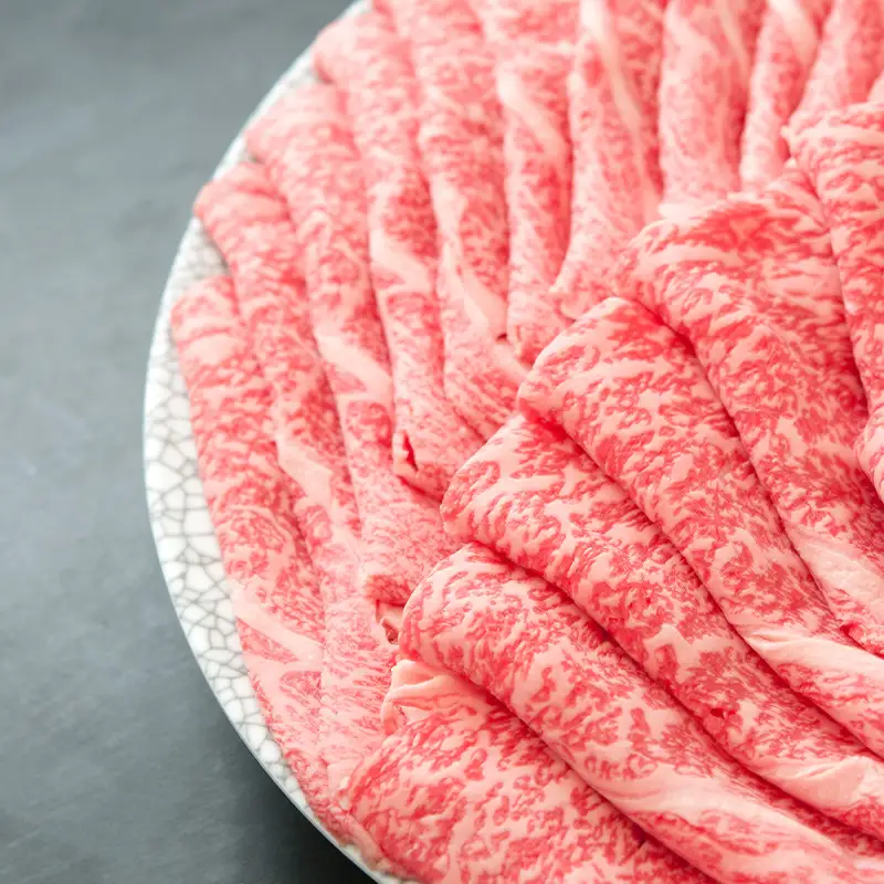 飛騨牛 ロース 肩ロース 500g すき焼き しゃぶしゃぶ 牛肉 和牛肉 霜降り カタロース 岐阜県 坂祝町 養老ミート お取り寄せ グルメ ギフト 御祝 内祝 2 人前 3 人前 鍋 セット  F6M-398
