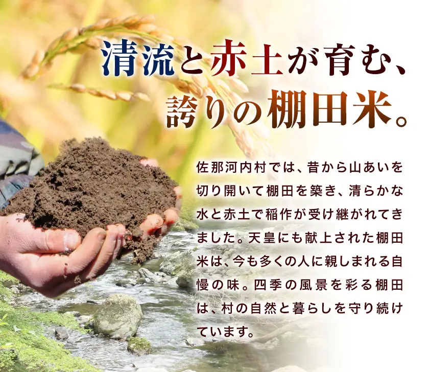 【先行予約】棚田米 無洗米 20kg 米